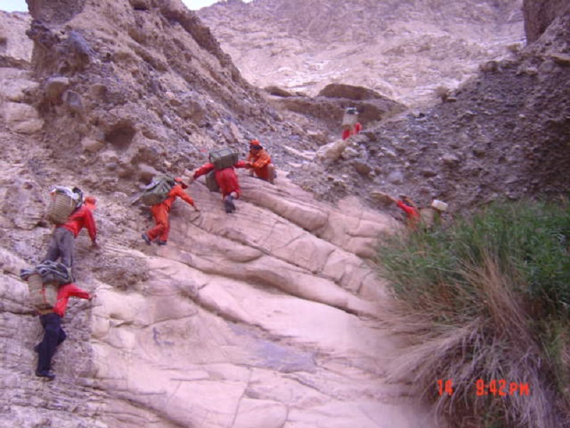 281635385855150038.jpeg 攀巖向上.jpg