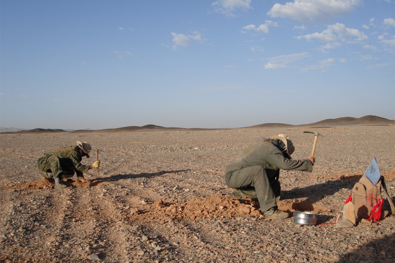 281635386196190669.jpeg 精心取樣.jpg