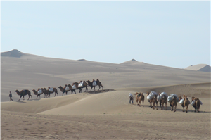 241637723087776406.png 圖片16_副本_副本.png