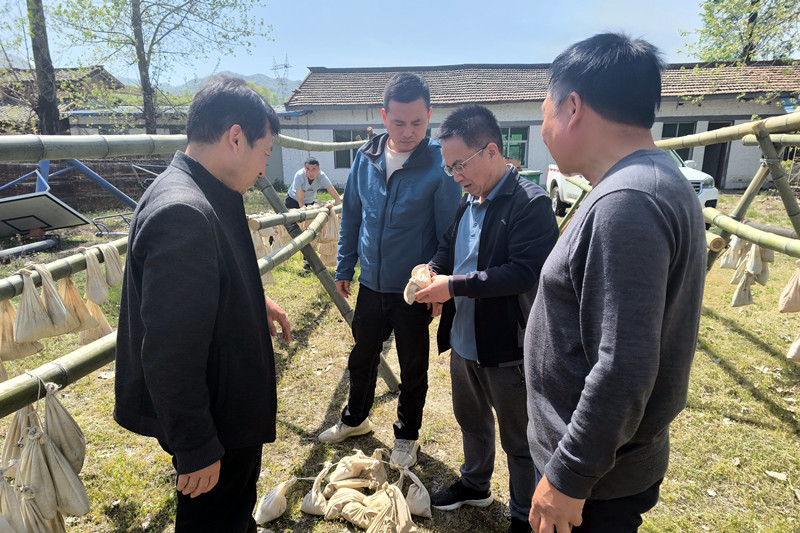 101744279967627160.jpeg 2.jpg